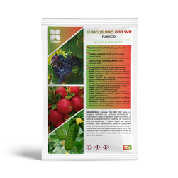 Image-product