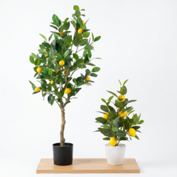 Image-product