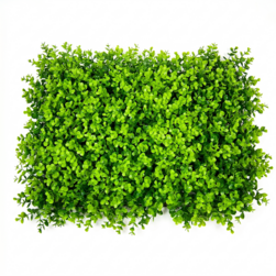 Image-product