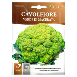 Image-product