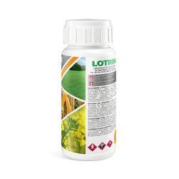 Image-product