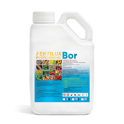 Image-product