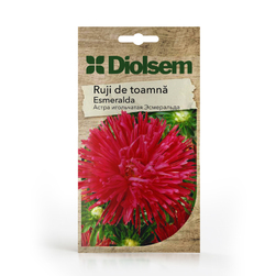Image-product