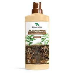Image-product