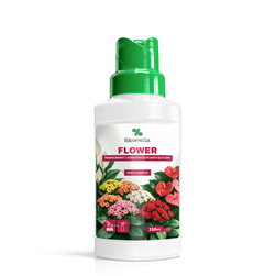 Image-product