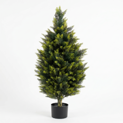 Image-product