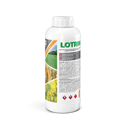 Image-product