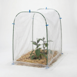 Image-product