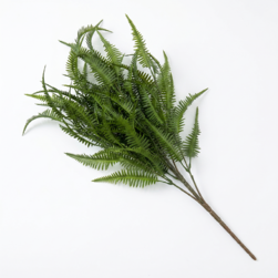 Image-product