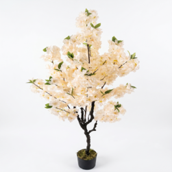 Image-product