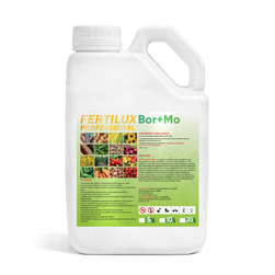Image-product