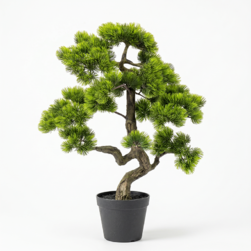 Image-product