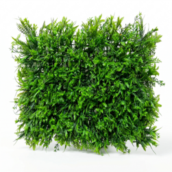 Image-product
