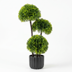 Image-product