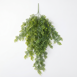 Image-product