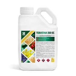 Image-product