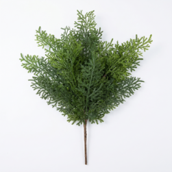 Image-product