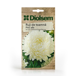 Image-product