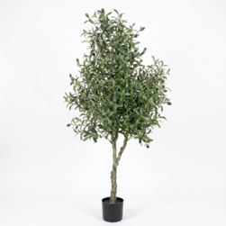 Image-product