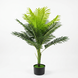 Image-product