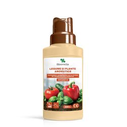 Image-product