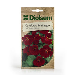 Image-product
