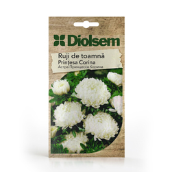 Image-product