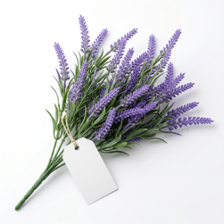 Image-product