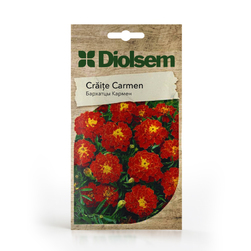 Image-product