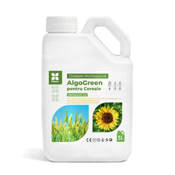 Image-product