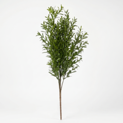 Image-product