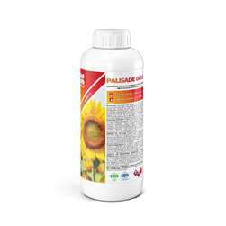 Image-product
