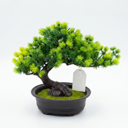 Image-product