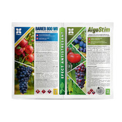 Image-product