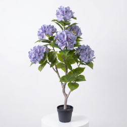 Image-product