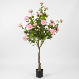 Image-product