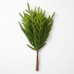 Image-product