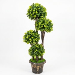 Image-product