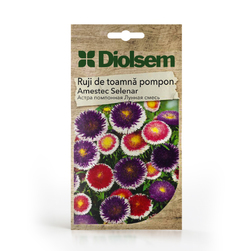 Image-product