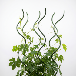 Image-product