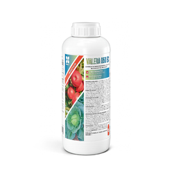 Image-product