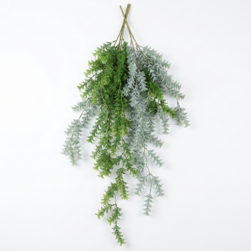Image-product